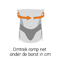 omtrek romp